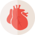 Cardiologist
