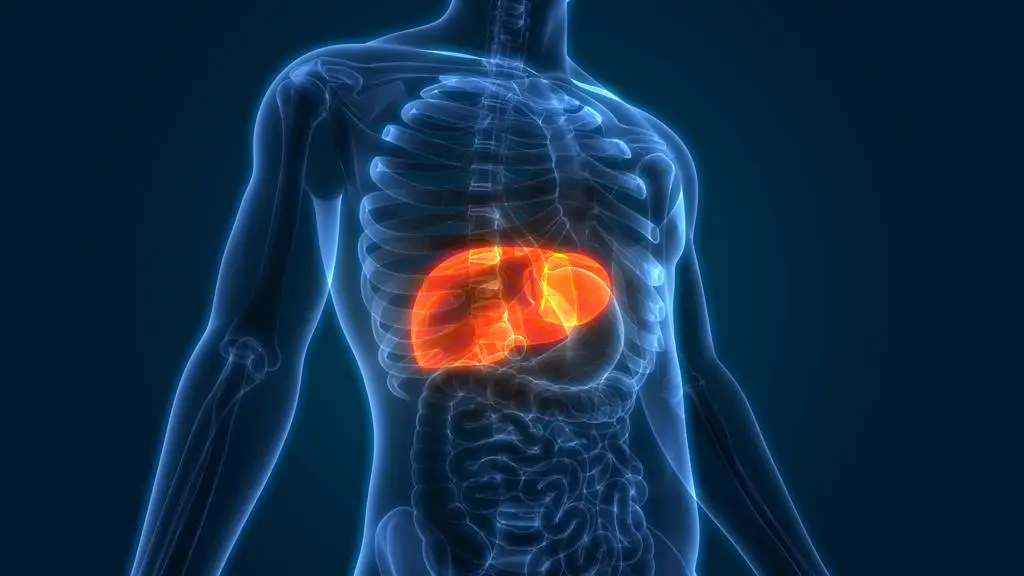Risk Factors That Worsen Fibrosis in NAFLD