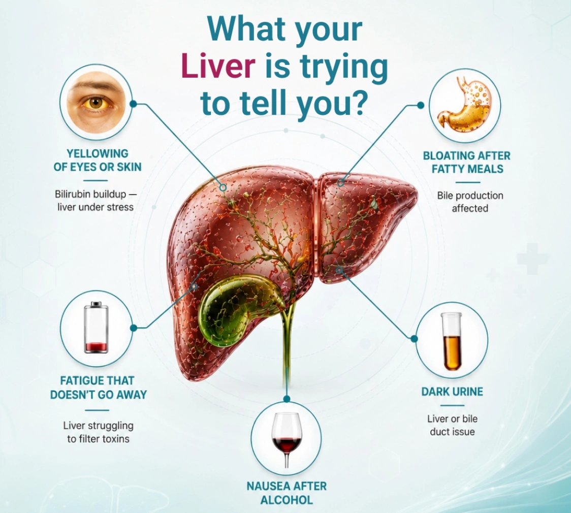 Can a Liver Function Test Start From Home?